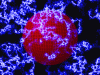 [thumbnail of grid_planet.jpg]