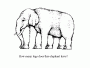 [thumbnail of ElephantLegs.jpg]